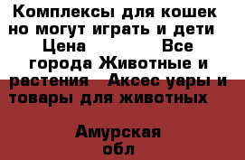Комплексы для кошек, но могут играть и дети › Цена ­ 11 900 - Все города Животные и растения » Аксесcуары и товары для животных   . Амурская обл.,Свободный г.